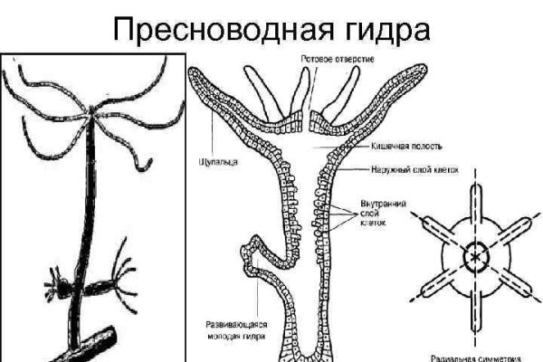 Кракен пользователь не найден что делать