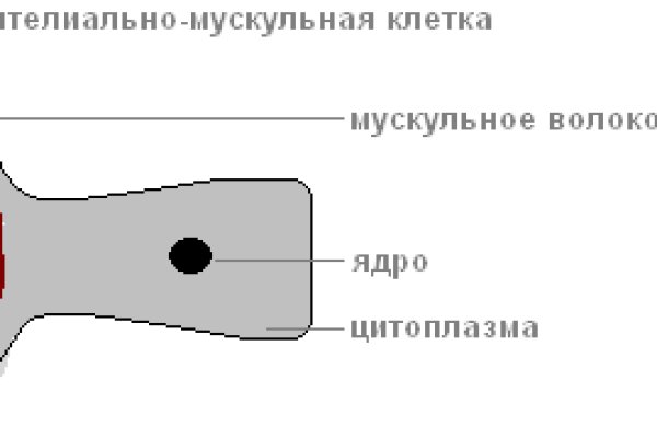 Кракен ссылки тор рабочая